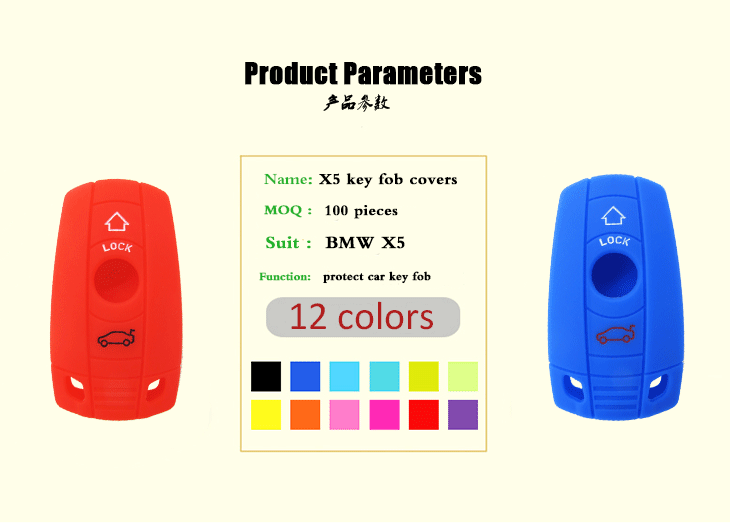 BMW-X5-key-fob-covers-parameters
